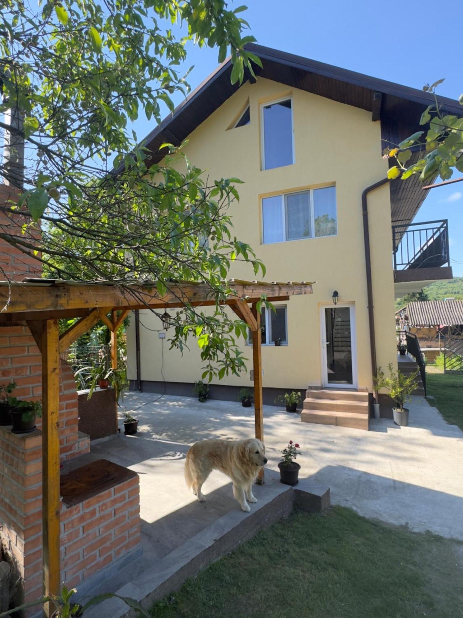 Casa Lucia Hotel Ocnele Mari Exterior photo